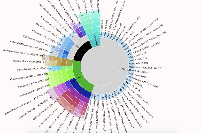 Real-time diagnostics from nanopore DNA sequencers on Google Cloud